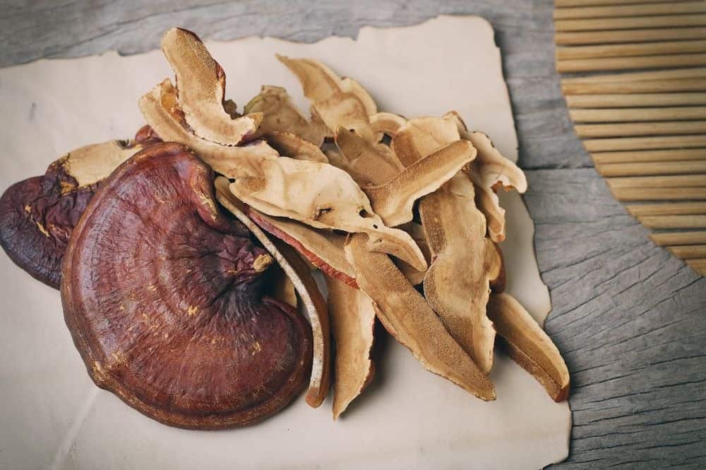 Ganoderma 