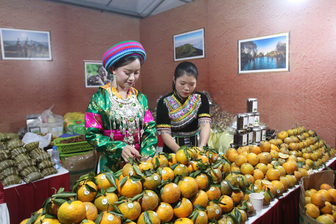 Organge - Ha Giang province